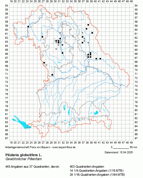 Die Verbreitungskarte zu Pilularia globulifera L. wird geladen ...