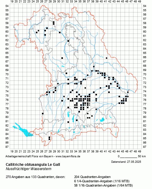 Die Verbreitungskarte zu Callitriche obtusangula Le Gall wird geladen ...