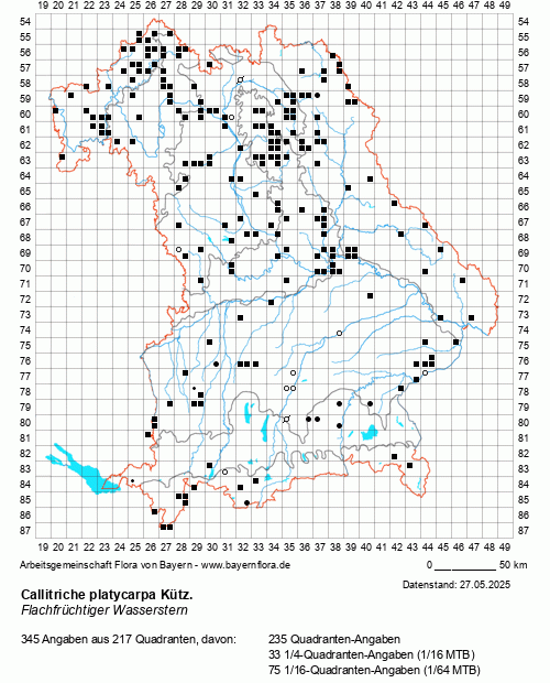 Die Verbreitungskarte zu Callitriche platycarpa Kütz. wird geladen ...