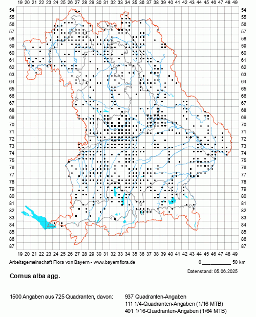 Die Verbreitungskarte zu Cornus alba agg. wird geladen ...