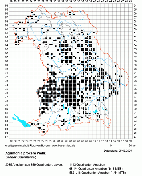 Die Verbreitungskarte zu Agrimonia procera Wallr. wird geladen ...