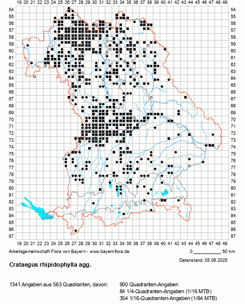 Die Verbreitungskarte zu Crataegus rhipidophylla agg. wird geladen ...