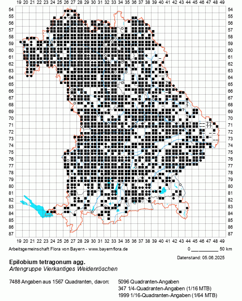 Die Verbreitungskarte zu Epilobium tetragonum agg. wird geladen ...