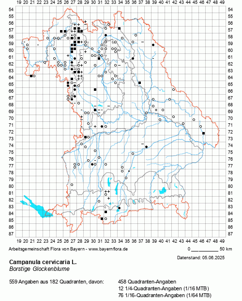 Die Verbreitungskarte zu Campanula cervicaria L. wird geladen ...