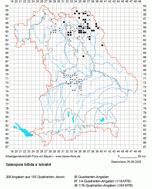 Die Verbreitungskarte zu Galeopsis bifida x tetrahit wird geladen ...