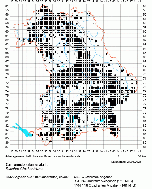 Die Verbreitungskarte zu Campanula glomerata L. wird geladen ...