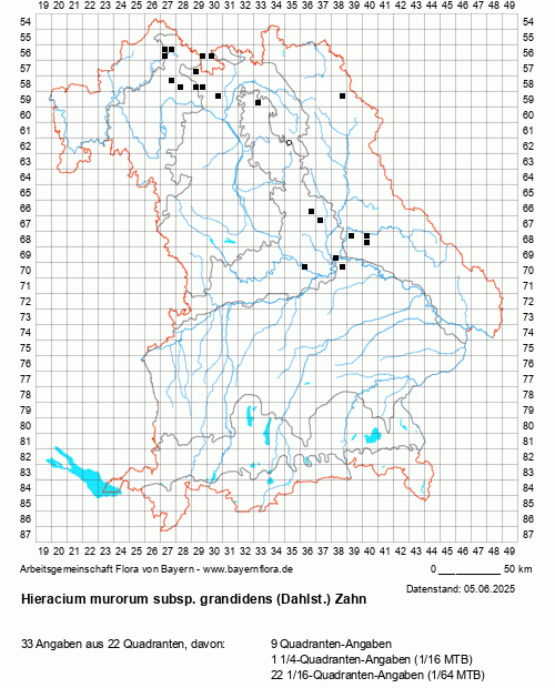 Die Verbreitungskarte zu Hieracium murorum subsp. grandidens (Dahlst.) Zahn wird geladen ...