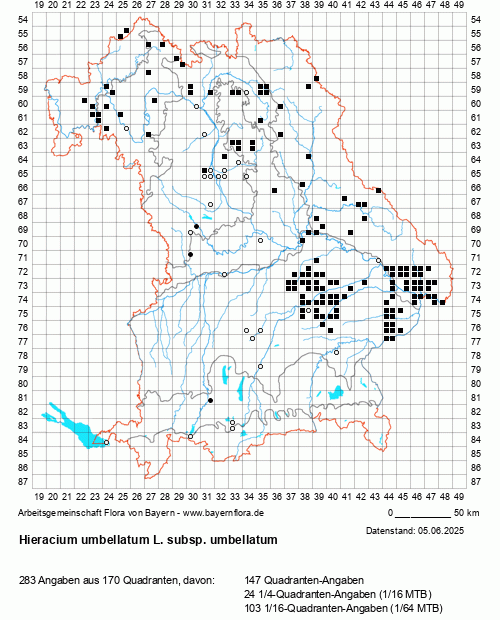 Die Verbreitungskarte zu Hieracium umbellatum L. subsp. umbellatum wird geladen ...