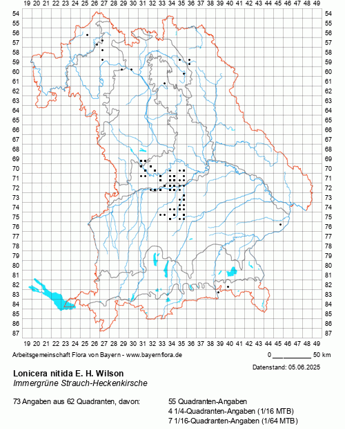 Die Verbreitungskarte zu Lonicera nitida E. H. Wilson wird geladen ...