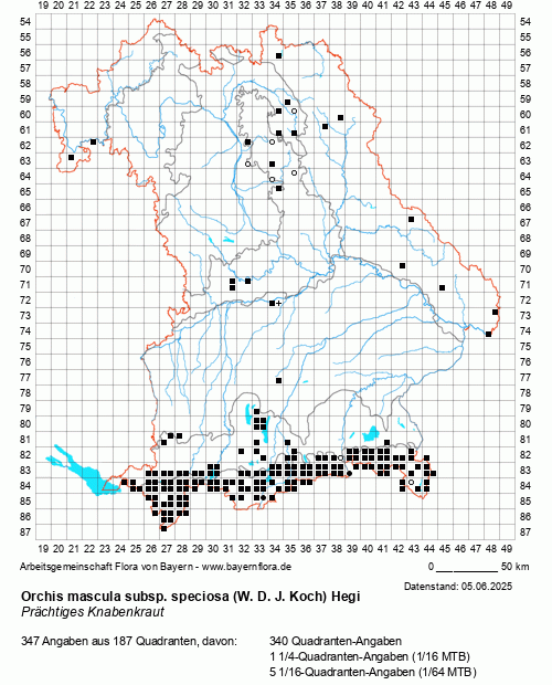 Die Verbreitungskarte zu Orchis mascula subsp. speciosa (W. D. J. Koch) Hegi wird geladen ...