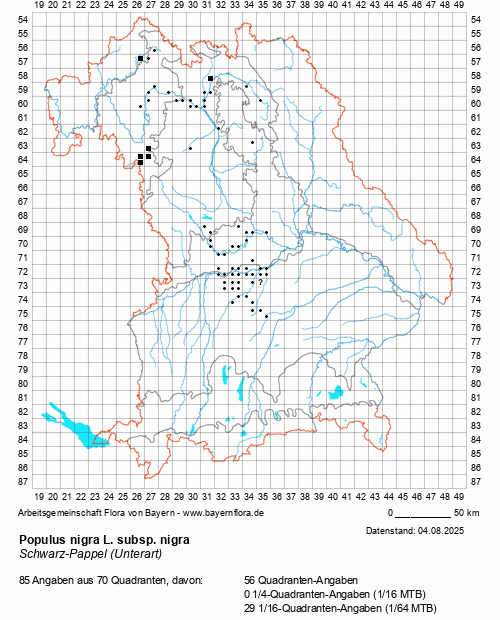 Die Verbreitungskarte zu Populus nigra L. subsp. nigra wird geladen ...