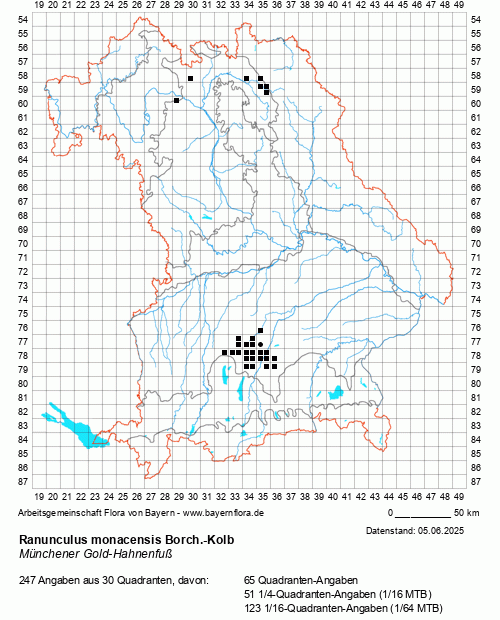 Die Verbreitungskarte zu Ranunculus monacensis Borch.-Kolb wird geladen ...