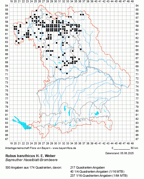 Die Verbreitungskarte zu Rubus baruthicus H. E. Weber wird geladen ...