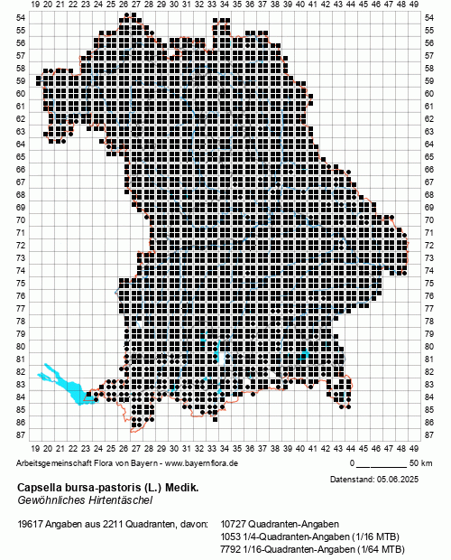 Die Verbreitungskarte zu Capsella bursa-pastoris (L.) Medik. wird geladen ...