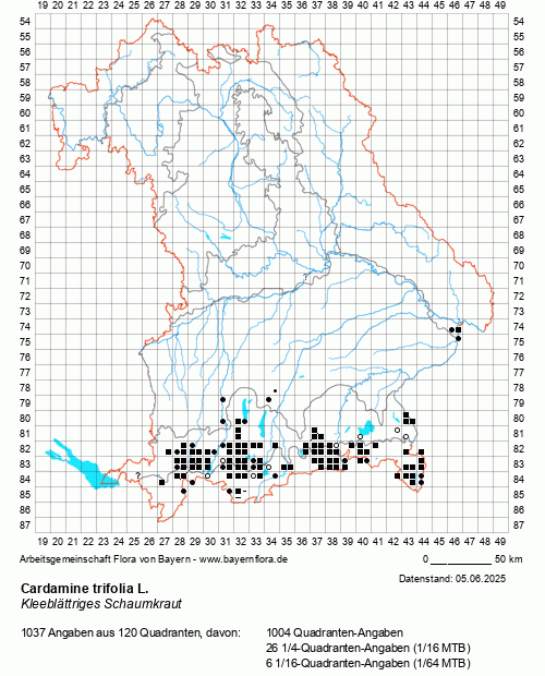 Die Verbreitungskarte zu Cardamine trifolia L. wird geladen ...