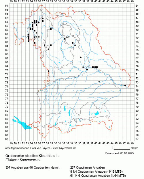 Die Verbreitungskarte zu Orobanche alsatica Kirschl. s. l. wird geladen ...