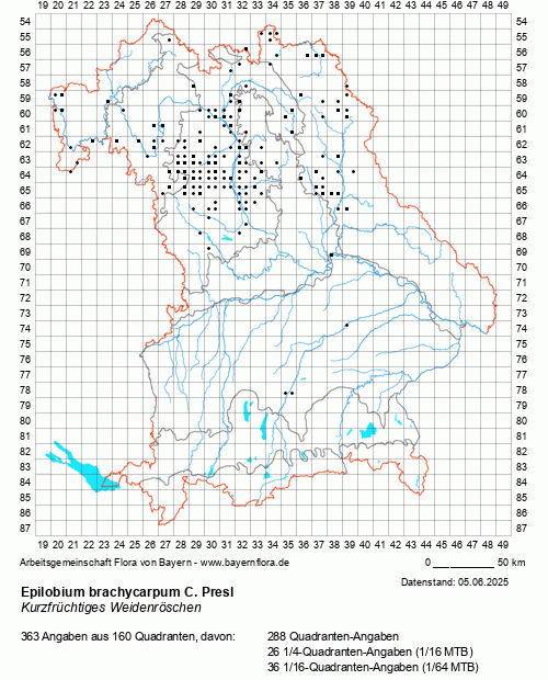 Die Verbreitungskarte zu Epilobium brachycarpum C. Presl wird geladen ...