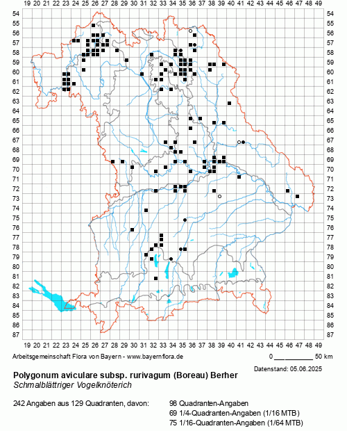 Die Verbreitungskarte zu Polygonum aviculare subsp. rurivagum (Boreau) Berher wird geladen ...