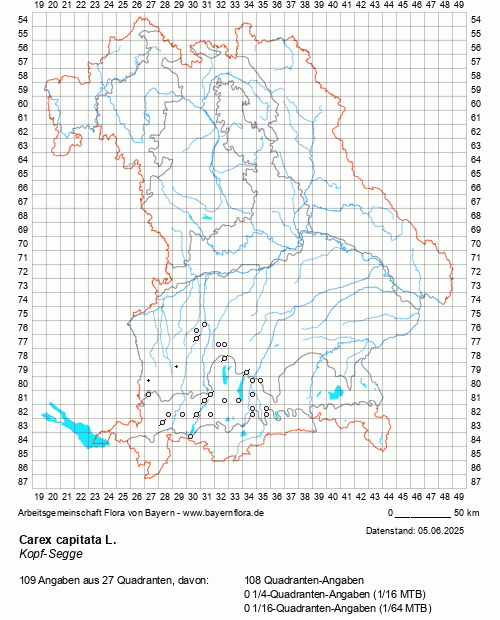 Die Verbreitungskarte zu Carex capitata L. wird geladen ...
