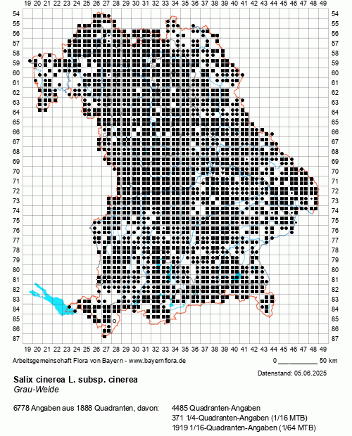 Die Verbreitungskarte zu Salix cinerea L. subsp. cinerea wird geladen ...