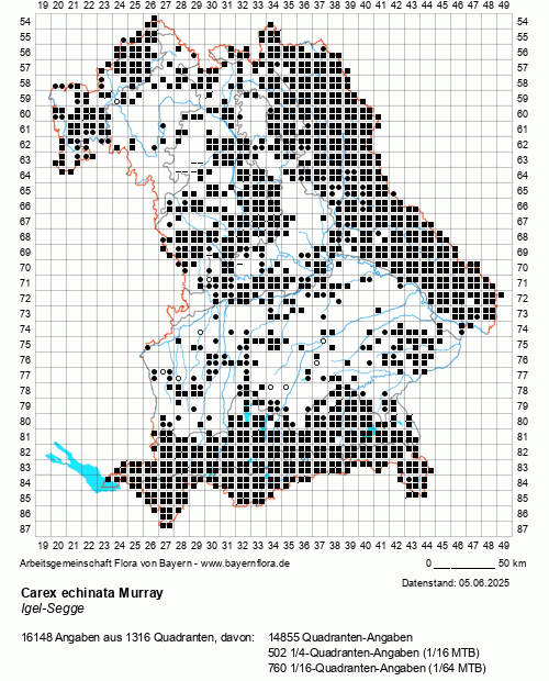 Die Verbreitungskarte zu Carex echinata Murray wird geladen ...