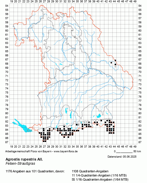 Die Verbreitungskarte zu Agrostis rupestris All. wird geladen ...