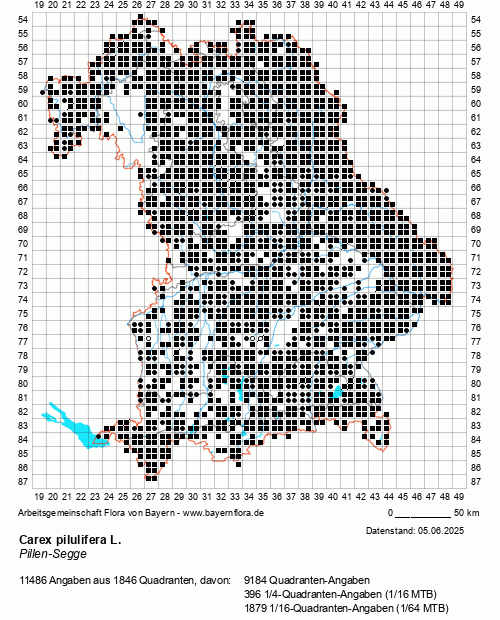 Die Verbreitungskarte zu Carex pilulifera L. wird geladen ...