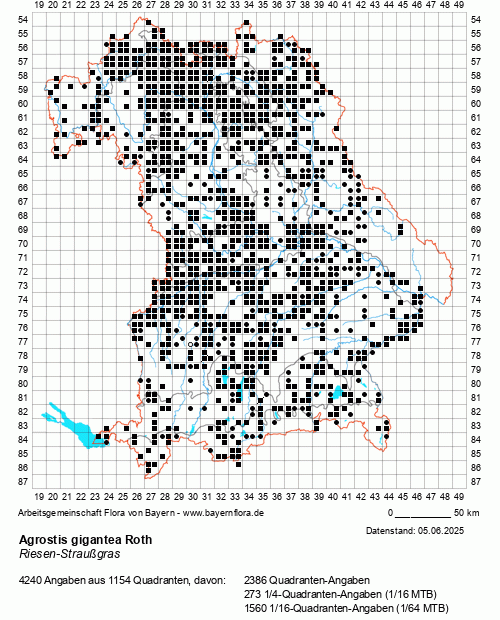 Die Verbreitungskarte zu Agrostis gigantea Roth wird geladen ...