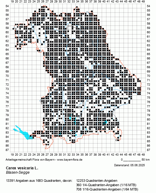 Die Verbreitungskarte zu Carex vesicaria L. wird geladen ...