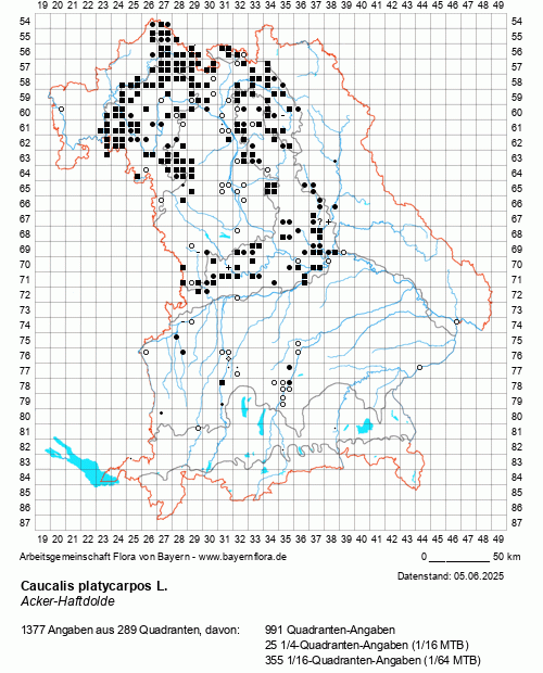 Die Verbreitungskarte zu Caucalis platycarpos L. wird geladen ...