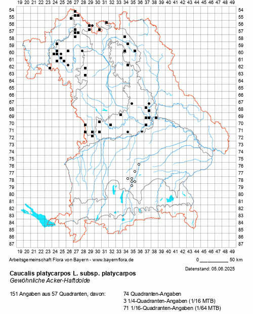 Die Verbreitungskarte zu Caucalis platycarpos L. subsp. platycarpos wird geladen ...