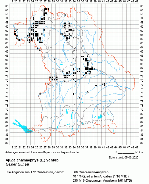 Die Verbreitungskarte zu Ajuga chamaepitys (L.) Schreb. wird geladen ...