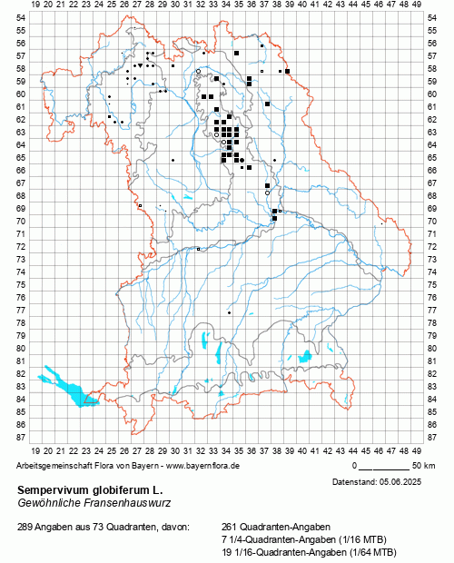 Die Verbreitungskarte zu Sempervivum globiferum L. wird geladen ...