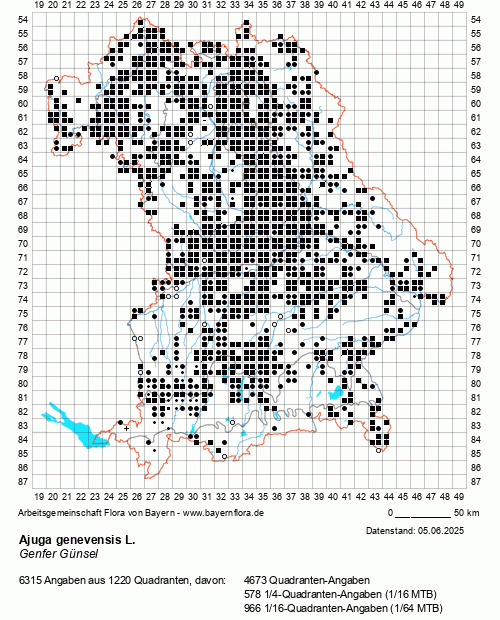 Die Verbreitungskarte zu Ajuga genevensis L. wird geladen ...