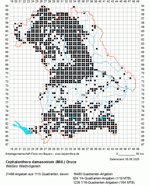 Die Verbreitungskarte zu Cephalanthera damasonium (Mill.) Druce wird geladen ...