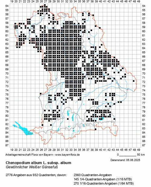 Die Verbreitungskarte zu Chenopodium album L. subsp. album wird geladen ...