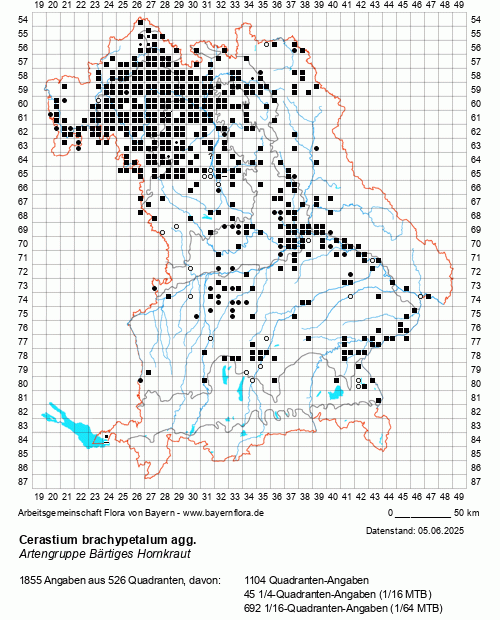 Die Verbreitungskarte zu Cerastium brachypetalum agg. wird geladen ...