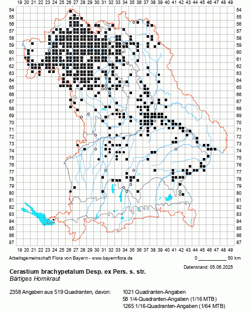 Die Verbreitungskarte zu Cerastium brachypetalum Desp. ex Pers. s. str. wird geladen ...