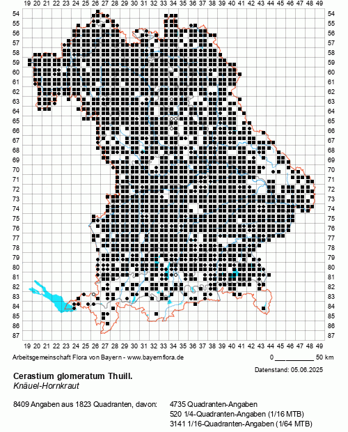 Die Verbreitungskarte zu Cerastium glomeratum Thuill. wird geladen ...