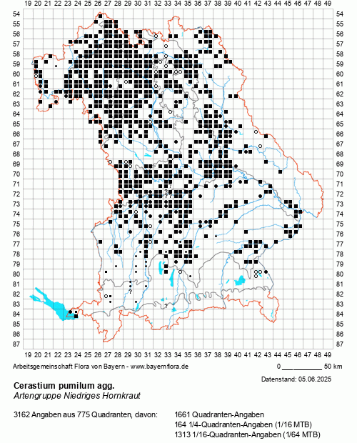 Die Verbreitungskarte zu Cerastium pumilum agg. wird geladen ...