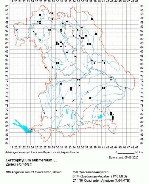 Die Verbreitungskarte zu Ceratophyllum submersum L. wird geladen ...