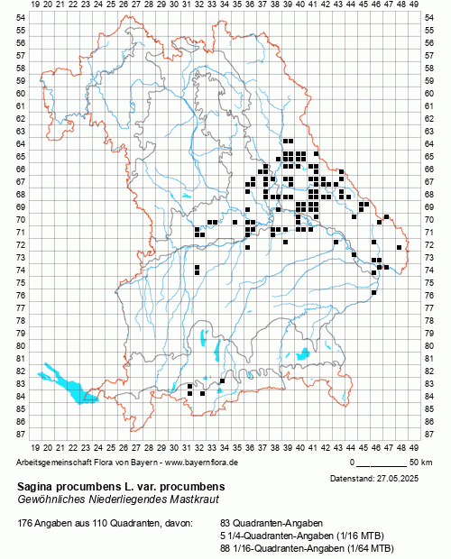 Die Verbreitungskarte zu Sagina procumbens L. var. procumbens wird geladen ...