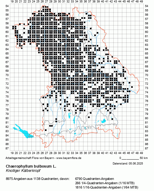 Die Verbreitungskarte zu Chaerophyllum bulbosum L. wird geladen ...