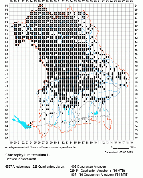 Die Verbreitungskarte zu Chaerophyllum temulum L. wird geladen ...