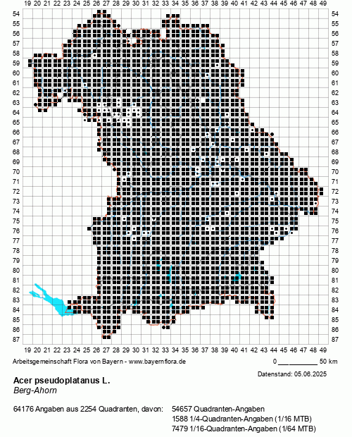 Die Verbreitungskarte zu Acer pseudoplatanus L. wird geladen ...