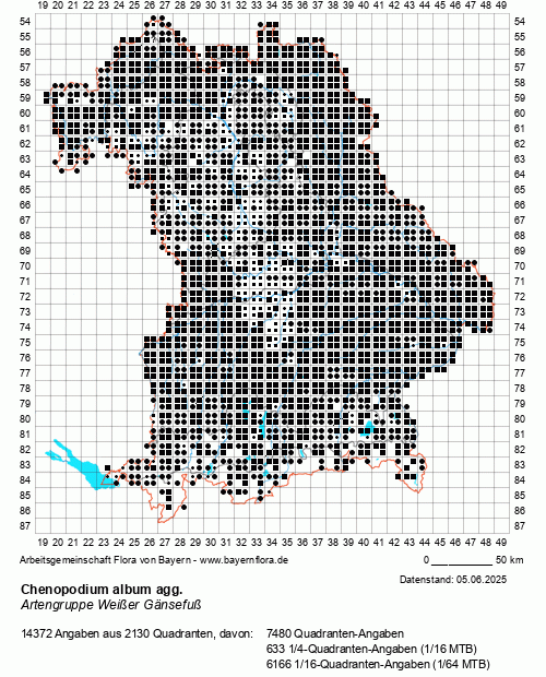 Die Verbreitungskarte zu Chenopodium album agg. wird geladen ...