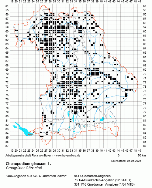 Die Verbreitungskarte zu Chenopodium glaucum L. wird geladen ...