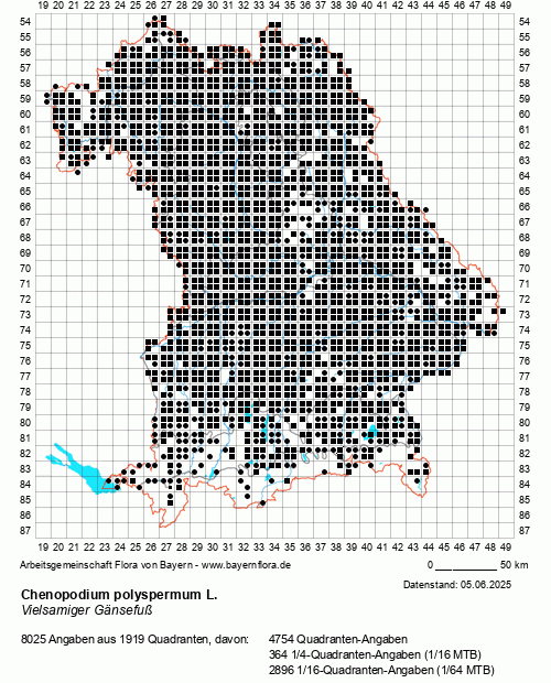 Die Verbreitungskarte zu Chenopodium polyspermum L. wird geladen ...