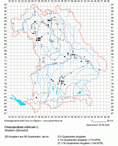 Die Verbreitungskarte zu Chenopodium urbicum L. wird geladen ...