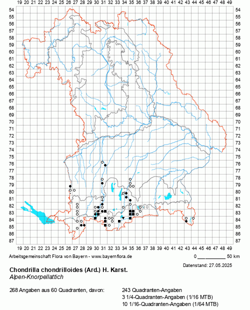 Die Verbreitungskarte zu Chondrilla chondrilloides (Ard.) H. Karst. wird geladen ...